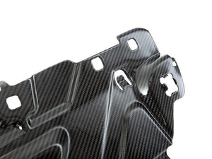 AutoTecknic Dry Carbon Fiber Cooling Plate BMW G20 M340i