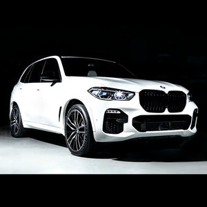 iND Painted Gloss Black Front Grilles BMW G05 X5